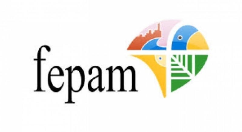  Fepam